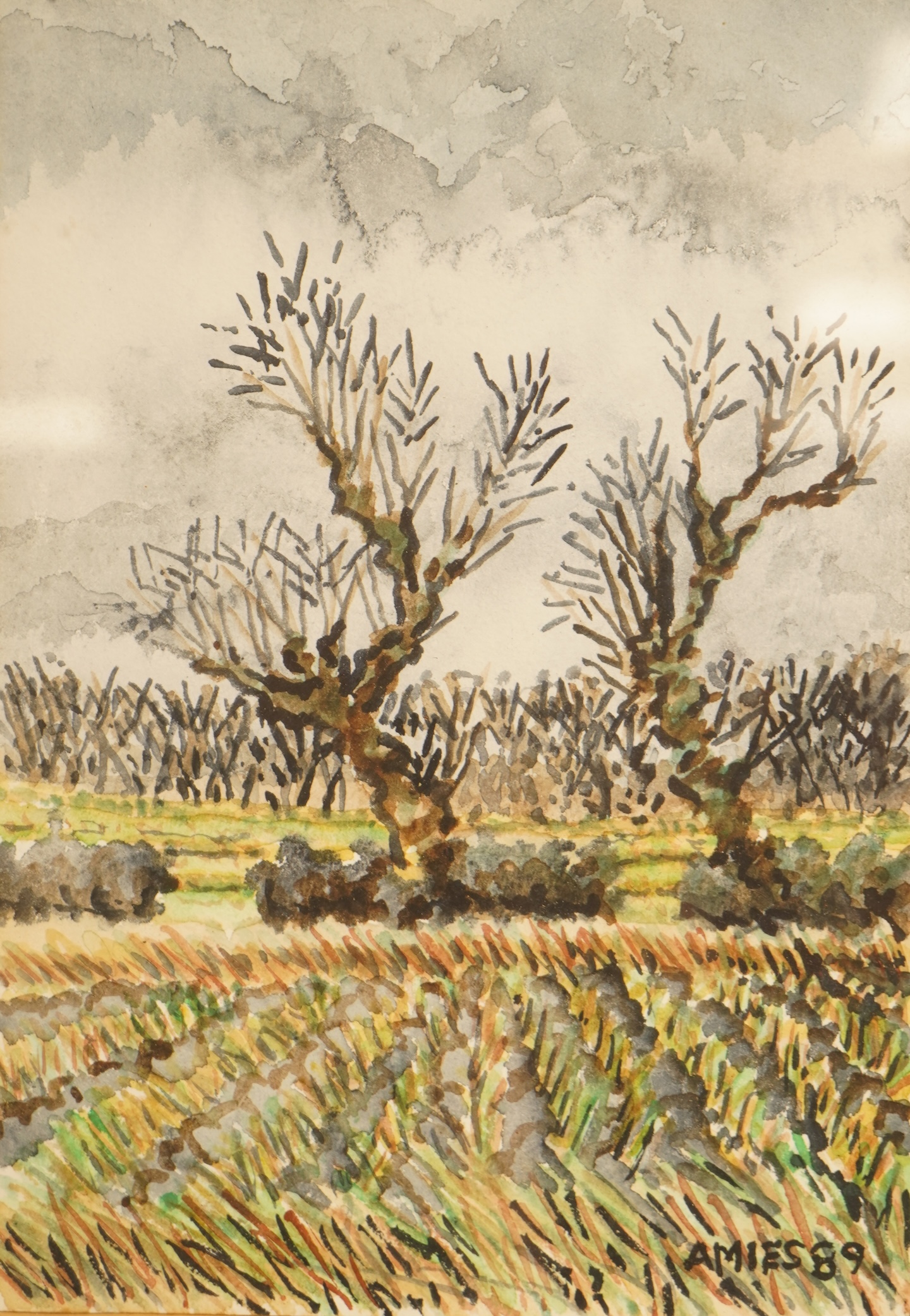 Anthony Amies (1945-200), Rural landscape, signed and dated '89, together with another larger work by a different hand, Street scene, both watercolours, largest 45 x 46cm